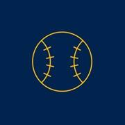 An icon of a baseball outlined in yellow