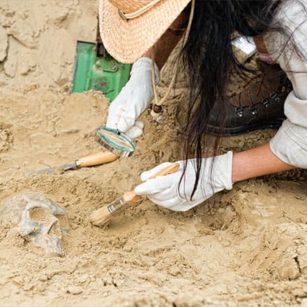 An archeologist uses tools to uncover skeletal remains at an excavation site.