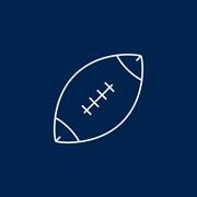 An icon of a football with a white outline.