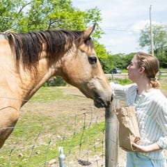 SNHU student Kayla Stoll interacting with a horse.