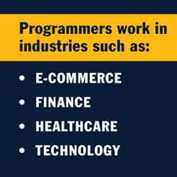 A blue and yellow infographic with the text programmers work in industries such as: e-commerce, finance, healthcare and technology