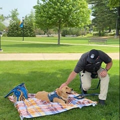 Steve Jankowski, senior public safety supervisor at SNHU, petting Sunny, SNHU's comfort dog.