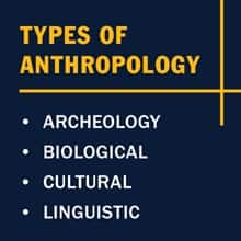 Infographic that lists archeology, biological, cultural, and linguistic as the types of anthropology