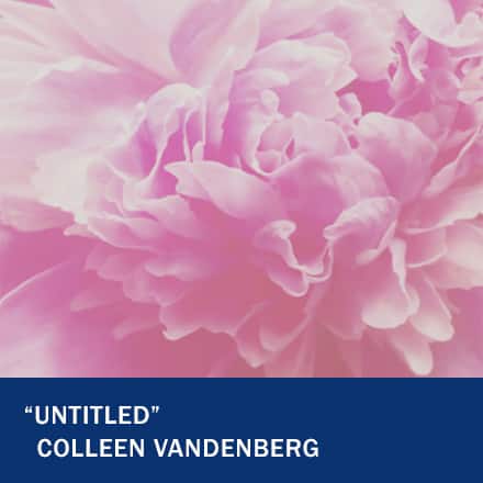 A close up shot of a pink flower with the text "Untitled" Colleen Vandenberg