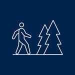 An icon outline of a person walking outdoors, toward two trees.