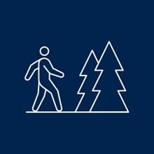 An icon outline of a person walking outdoors, toward two trees.
