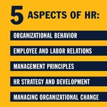 An infographic piece listing five vital aspects of the human resources role with the text 5 aspects of HR: Organizational behavior, Employee and labor relations, Management principles, HR strategy and development, Managing organizational change