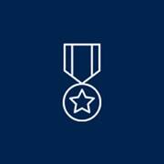 Medal Icon