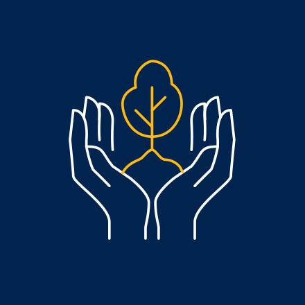 Outline of hands holding a small tree sprouting out of them