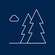 An outline of two pine trees and a cloud