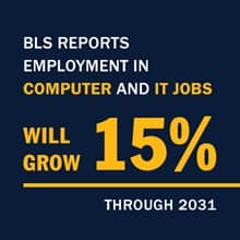 Infographic with the text BLS reports employment in computer and IT jobs will grow 15% through 2031
