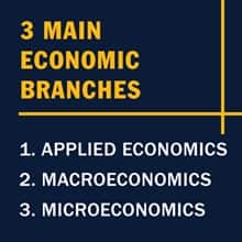 Infographic with the text 3 Main Economic Branches: Applied Economics, Macroeconomics, Microeconomics