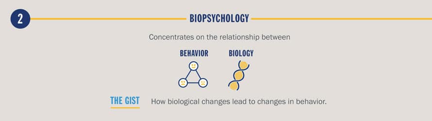 BioPsychology