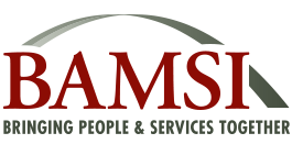 BAMSI Logo