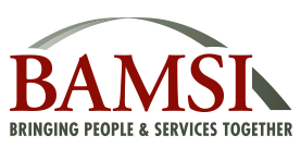 BAMSI Logo.
