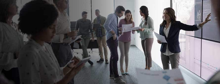 Group of professionals in a meeting room