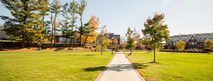 A grassy area on Southern New Hampshire University’s Manchester campus with a sidewalk and bench.