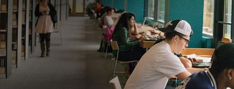 Community College students studying in a library