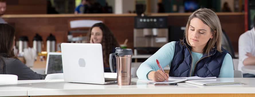 An SNHU student working on an assignment