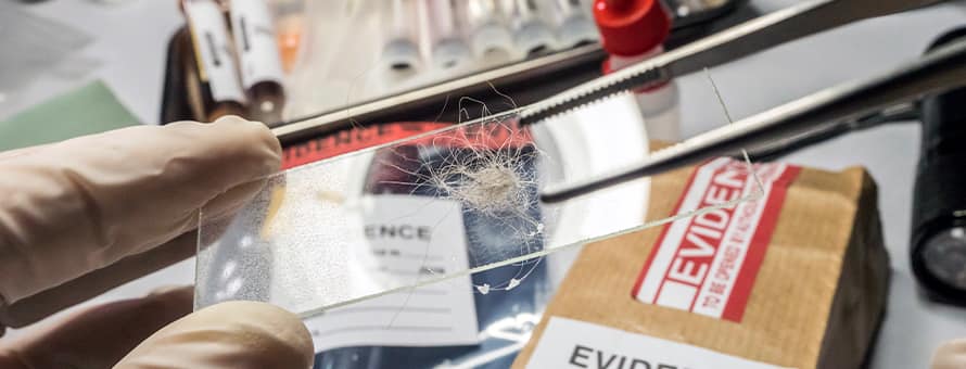 A crime scene investigator handling evidence in a laboratory
