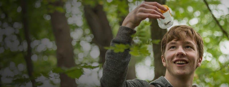 Environmental Scientist observing an insect outside