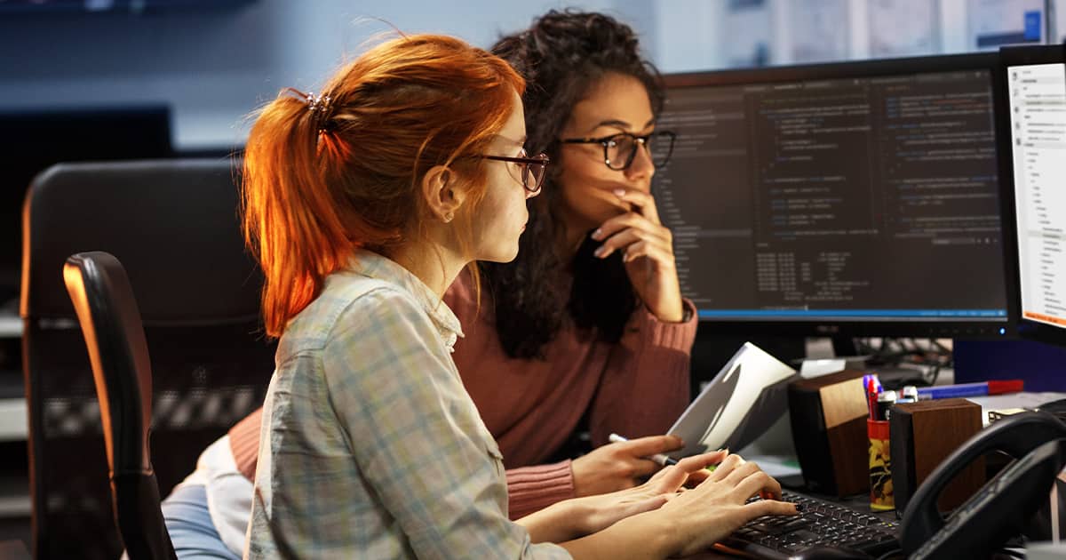What Does a Software Engineer Do?