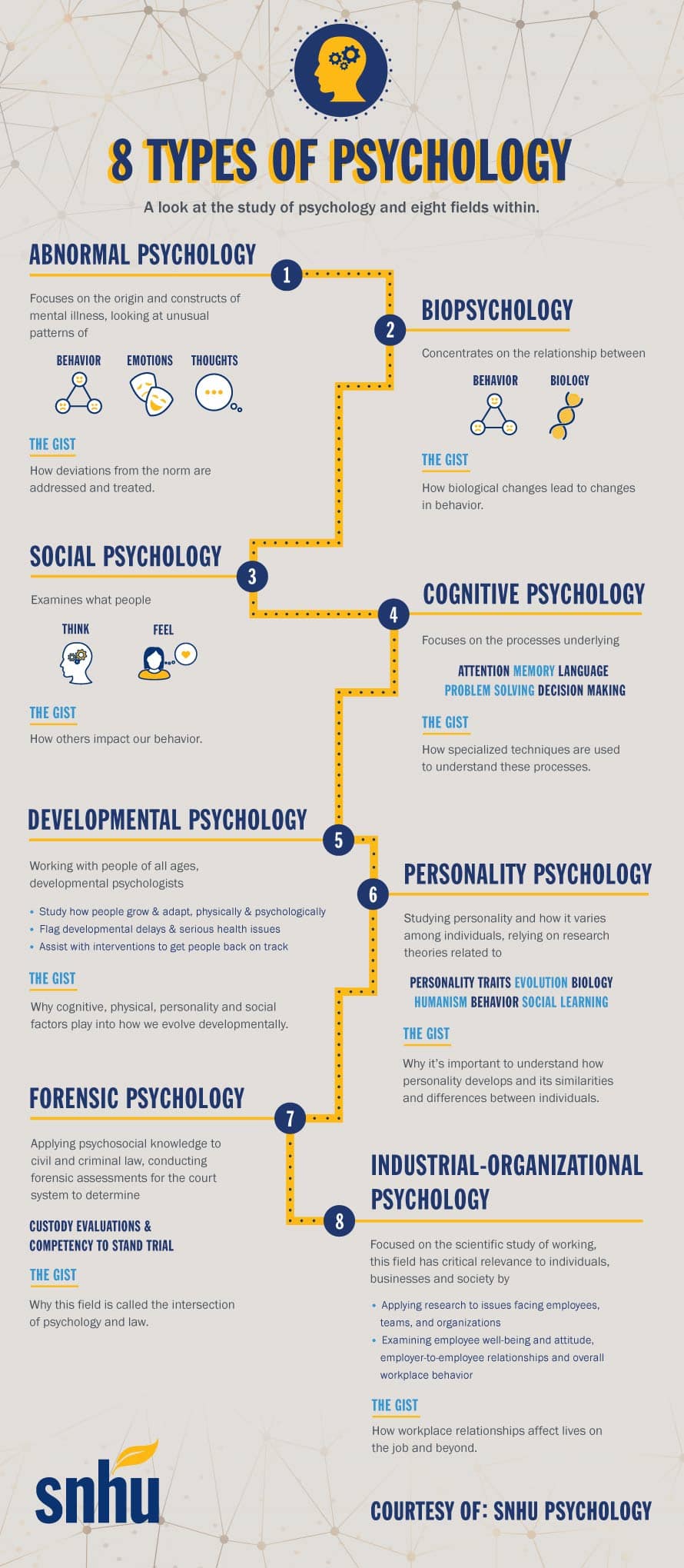different types of studies in psychology