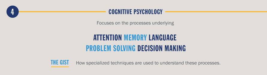 cognitive psychology experiments